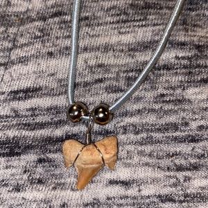 Shark Tooth Necklace